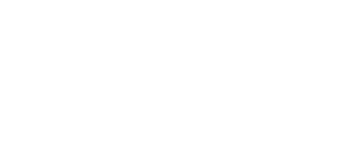 Icvv